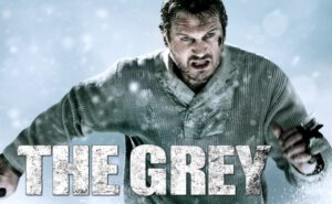 THE GREY